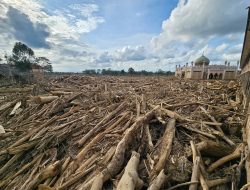 Galang Dana Kemanusiaan Sumatera Aceh, Wali Kota Tri : Bantuan Selanjutnya untuk Pembangunan Infrastruktur