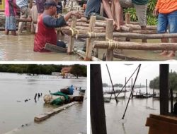 Puluhan Ton Ikan Siap Panen Disapu Banjir Rob, Petani Tambak Muaragembong Merana Rugi Ratusan Juta