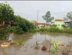 Jateng di Ambang “Bencana Ekologis”, Pemulihan Sabuk Hijau Pesisir Pantai Utara Jadi Benteng Terakhir