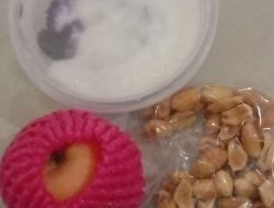 Antrian Panjang Pengambilan MBG di SD Aren Jaya 18, Orang Tua Keluhkan Keterlambatan dan Kualitas Menu