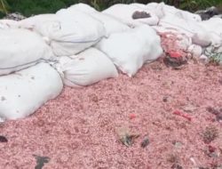 Misteri 21 Karung Cacahan Uang di Bekasi Terungkap: Melibatkan Oknum TPA Bantargebang