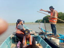 KAWALI Berdayakan Warga Pesisir Pemalang Pelajari Pemetaan Ekologis Independen Melalui Pelatihan MRV, Kini Program Pemulihan Sabuk Hijau Pesisir Utara Jawa Resmi Berjalan