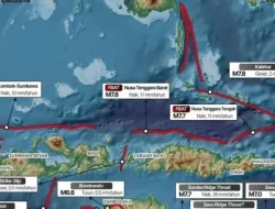 Gempa di NTT Alami 37 Kali Gempa Susulan, Warga Diharap Tenang dan Hindari Bangunan Retak 