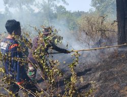 Kebakaran Hutan dan Lahan Meluas dari Aceh – Papua, Terbesar di Kawasan Gunung Bromo Seluas 520 hektare